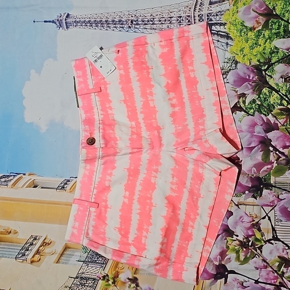 Khakis by Gap Sunkissed Shorts Size 2 NWT - Picture 1 of 9